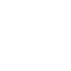 Logo Junior ESTACA blanc